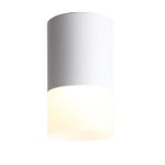 ST100.502.05 Светильник потолочный Белый LED 1*5W 3000K 390Lm Ra&gt;80 120° D64xH110 170-240V