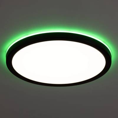 CL738241EL Бейсик Лайн Черный Св-к с пультом LED+RGB 30W