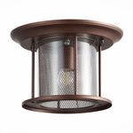 SL080.402.01 Светильник уличный потолочный ST-Luce Темный кофе/Прозрачный, Темный кофе E27 1*60W