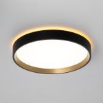 Citilux ETALON CL750241 LED Светильник с подсветкой Чёрный+Золото