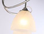 Потолочная люстра TR3042/5 CH/FR хром/белый матовый E27/5 max 40W D580*275
