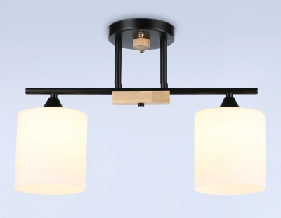 Светильник подвесной TR9543/2 BK/FR черный/белый матовый E27/2 max 40W 435*120*280