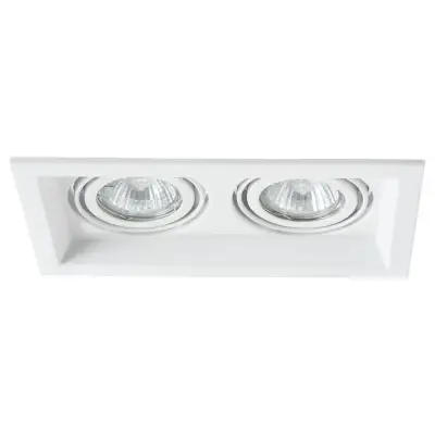 Точечный встраиваемый светильник Arte Lamp CANIS A6661PL-2WH, 2хGU10