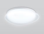 Светильник светодиодный потолочный FZ1601 FR матовый IP20 40W 5000K 410*100 (Без ПДУ)