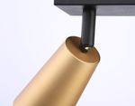 Светильник накладной TA13146/2 BK/GD черный/золото GU10/2 max 12W 295*60*130