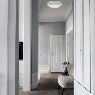 SLE6009-502-01 Светильник потолочный Белый/Белый LED 1*50W 3000K/4000K/6000K