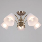 IL0910-5CSQ-26 AB ELITE светильник потолочный ILLUMICO, E27х5