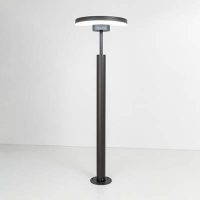 Citilux CLU03B1 LED Уличный парковый светильник поворотный Графит