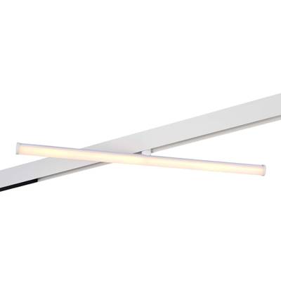 ST803.536.10 Магнитный трековый светильник Белый LED 1*10W 3000K 1 200Lm Ra&gt;90 120° IP20 L604xW28xH80 48VV