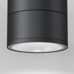 Уличный потолочный светильник Спин / Spin 3000К 12Вт IP54, O310CL-L12GF3K. TM Maytoni