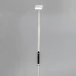 Citilux Марк CL804020 Торшер гибкий светодиодный Белый
