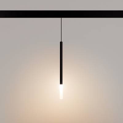 Светильник MAG-ORIENT-STICK-HANG-R20-6W Warm3000 (BK, 180 deg, 48V) (Arlight, IP20 Металл, 5 лет)