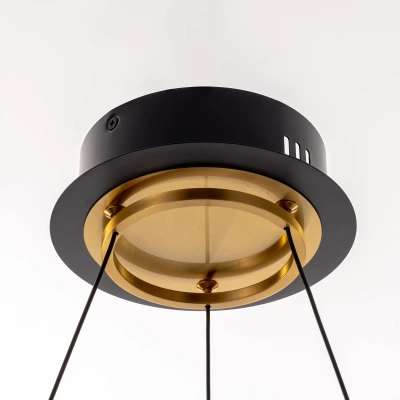 Citilux HELLY CL211062 Подвесная светодиодная люстра