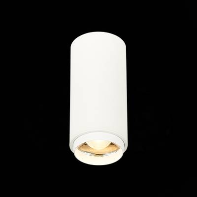 ST600.532.10 Светильник потолочный Zoom Белый LED 1*10W 3000K 1 000Lm Ra&gt;80 15-60° IP20 D59xH130 170-240VV
