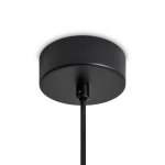 Подвесной светильник FR5537PL-L6B, FR5537PL-L6B. TM Maytoni