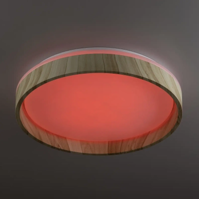Citilux ENZO CL753352G LED RGB Светильник с пультом Клён