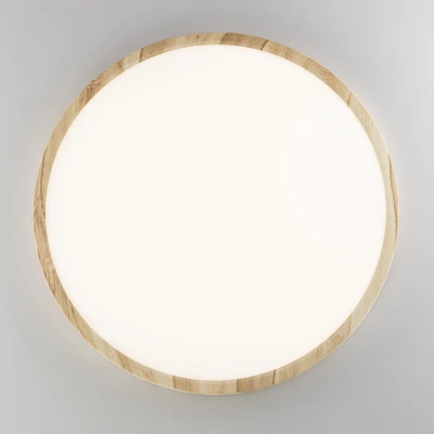 Citilux БейсикCL738322V LED Светильник накладной Клён