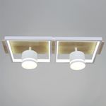 19560-0.3-2+2 WH+WOOD светильник потолочный