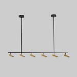 Потолочный светодиодный светильник с поворотным механизмом 20252/6 LED черный/латунь, LED