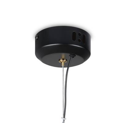 Подвесной светильник Enchantment FR5384PL-L11R, LED. TM Maytoni