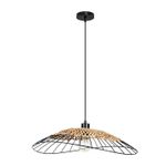 Подвесной светильник Arte Lamp WOODSTOCK A7061SP-1BK, 1хE27