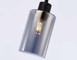 Подвесной светильник в стиле лофт TR3695 BK/SM черный/дымчатый E27 max 40W D100*1000