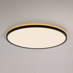 Citilux NORMA CL748501 LED Светильник с подсветкой Чёрный