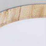 Citilux Бейсик CL738182V LED Светильник накладной Клён