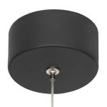 Citilux Майя CL202011 Подвесной светильник Черный