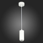 ST600.543.10 Светильник подвесной Zoom Белый LED 1*10W 4000K 1 000Lm Ra>80 15-60° IP20 D59xH130 170-240VV