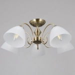 IL0897-5CSQ-26 AB ELITE светильник потолочный ILLUMICO, E27х5