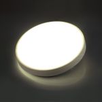 7628/AL PALE SN 170 Светильник пластик/белый/беленый под дерево LED 18Вт 4000К D280 IP43 LOSTA