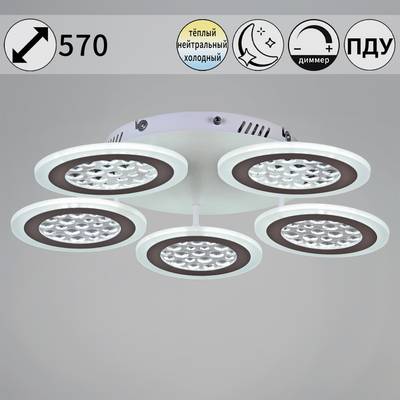 20491-0.3-05 WT светильник потолочный