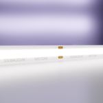 Светодиодная лента 24В COB 12Вт/м 6000K 5м IP20 10184. TM Maytoni