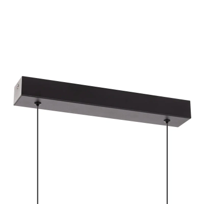 Citilux GLOB CL209131 LED Светильник подвесной Чёрный
