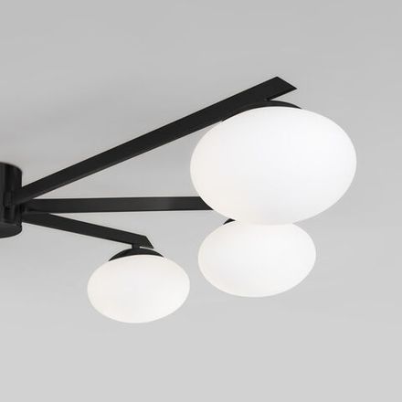 Потолочный светильник 70220/6 черный