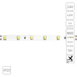 Светодиодная лента 24V 4,8W/m 6000К 5м IP20 Arte Lamp TAPE A2406008-03-6K, LED