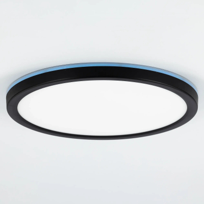 CL738241EL Бейсик Лайн Черный Св-к с пультом LED+RGB 30W