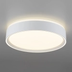 Citilux BOSS CL751250G LED RGB Светильник с пультом Белый