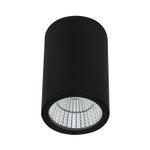Уличный потолочный светильник Arte Lamp TORCULAR A1807PF-1BK, 1хLED