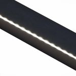 SL9511.411.01 Светильник уличный настенный ST-Luce Черный LED 1*24W 4000K
