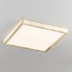 Citilux Бейсик CL738K242V LED Светильник накладной Клён