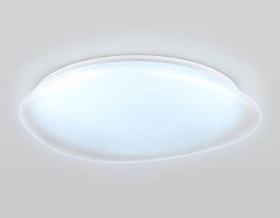 Светильник светодиодный RGB с пультом  FZ1615 FR матовый IP20 60W 3000-6500K+RGB 510*100 (ПДУ ИК)