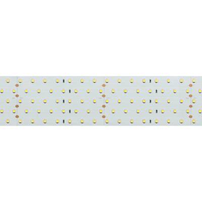 Светодиодная лента RT 2-2500 24V Cool 8K 5x2 (2835, 875 LED, LUX) (Arlight, 36 Вт/м, IP20)