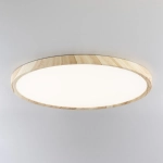 Citilux БейсикCL738322V LED Светильник накладной Клён