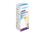 Светодиодная лампа Filament LED C35 6W E14 4200K (50W) 220-240V