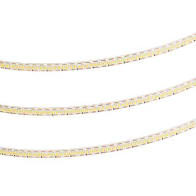Лента FC-A240-10mm 24V Warm2700-CX1 (24 W/m, IP20, 5m) (Arlight, резка 1 светодиод)