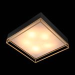 SL1127.422.05 Светильник потолочный ST-Luce Черный, Матовое золото/Белый E27 5*40W