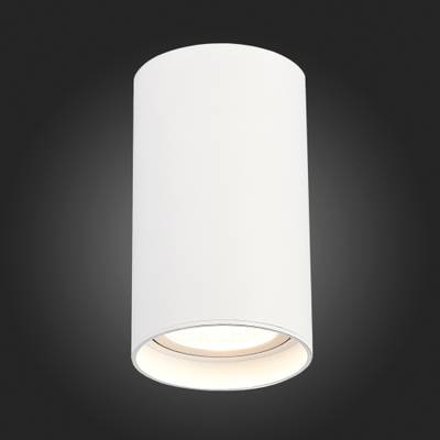 ST157.532.20 Светильник потолочный Белый LED 1*20W 3000K 1 600Lm Ra&gt;90 60° IP44 D95xH150 220-265V