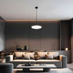 Потолочный светильник Arte Lamp FADO A7335PL-1BK, 1хLED